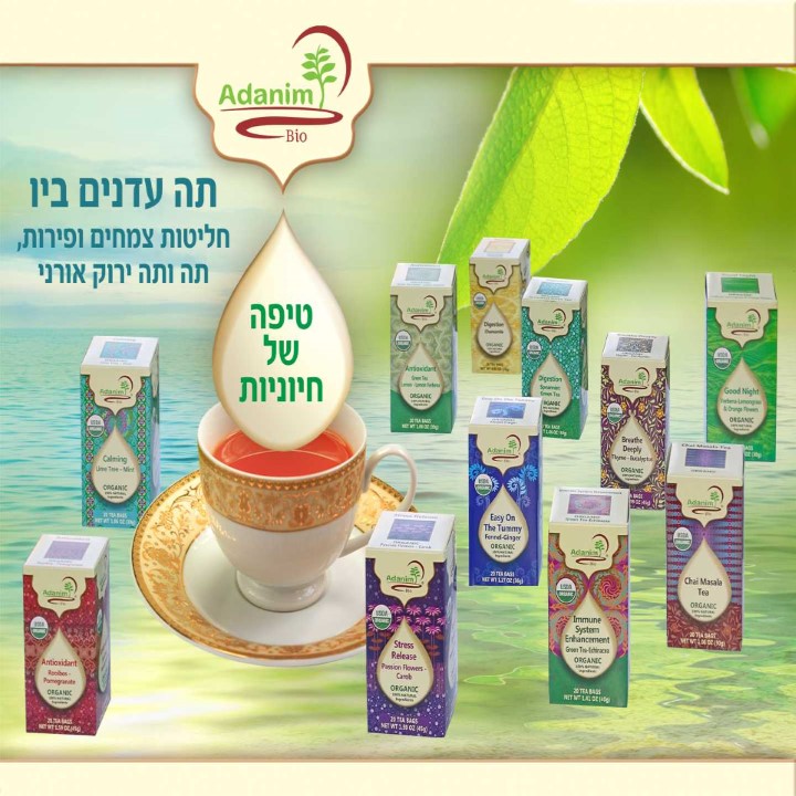 חנות אוליין